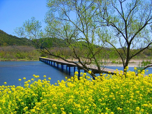 四万十川
